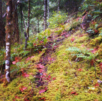 long creek trail