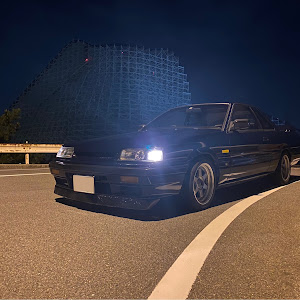 スカイライン HR31