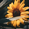 Item logo image for Hidden Sunflower