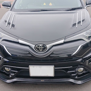 C-HR NGX50