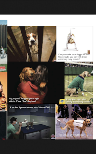 How to download Woof! The Mag with a Wag! 5.2 mod apk for android