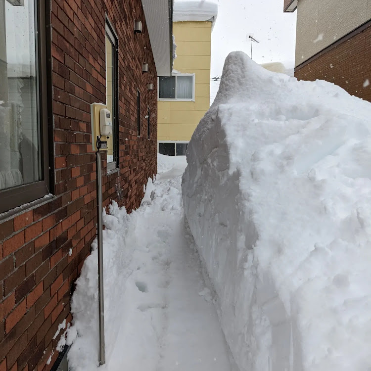 CX-5の夜勤明け・大雪・雪掻きしんどい・通い猫サバにゃんに関するカスタム事例の投稿画像12枚目