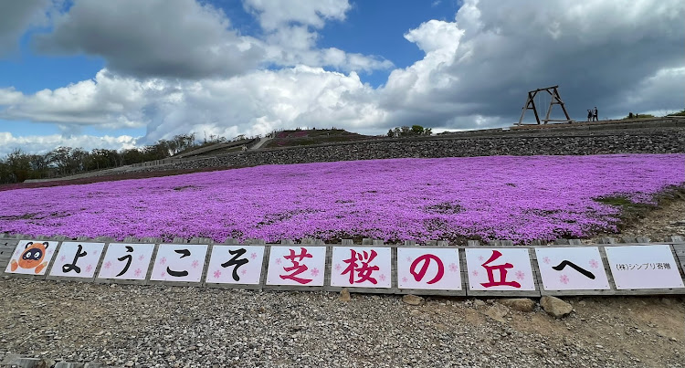 の投稿画像4枚目