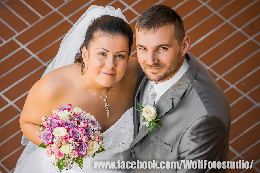 Wedding photographer László Wolf (wolffoto). Photo of 3 March 2019