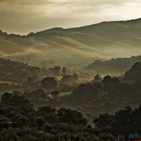 L'alba nelle campagne laziali di 