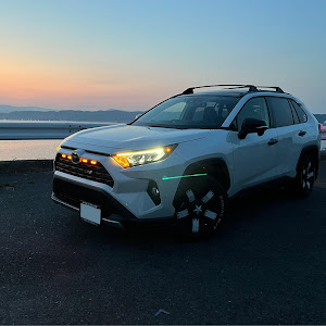 RAV4 MXAA54