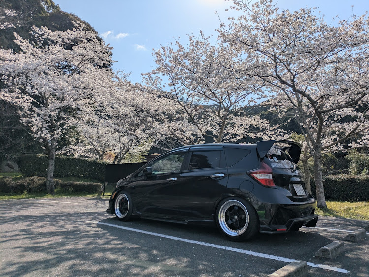 ノートのいつもイイネ&コメントありがとうございます🙇‍♂️・北九州・桜コラボ🌸・昭和池・4月もよろしくお願い致します🌸に関するカスタム事例の投稿画像5枚目