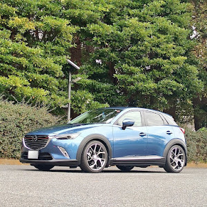 CX-3 DK5FW