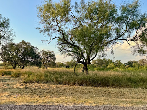 Land 5