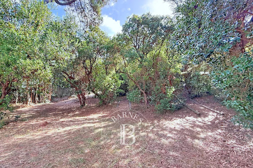 Villa 4