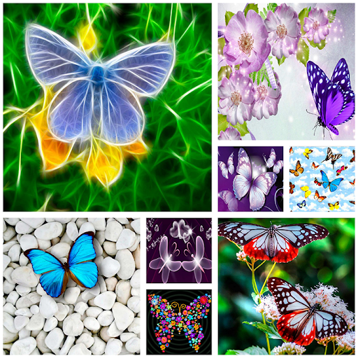 Butterfly Wallpapers