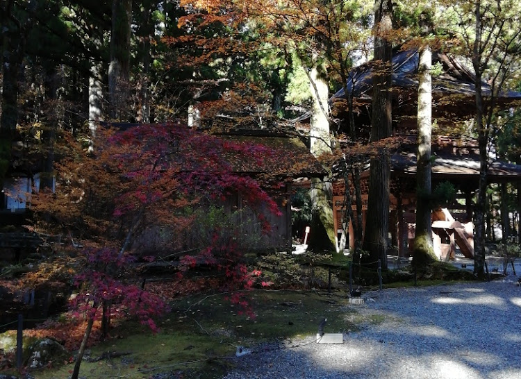 エリーゼの温泉♨️ツーリング・長野県・光前寺・養命酒・いな垣に関するカスタム事例の投稿画像9枚目