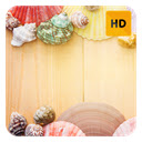 Seashells Wallpaper HD New Tab Theme©