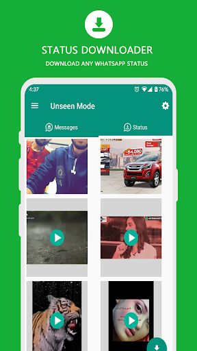 Unseen Last Seen - Hide Online  Blue Ticks