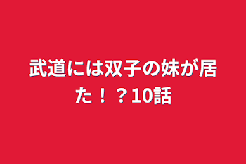 武道には双子の妹が居た！？10話