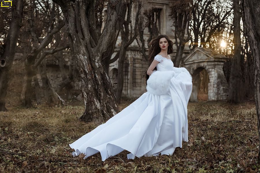 Wedding photographer Vadim Pavlosyuk (vadl). Photo of 24 December 2015