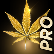 Marijuana Live Wallpaper 2.0 Icon