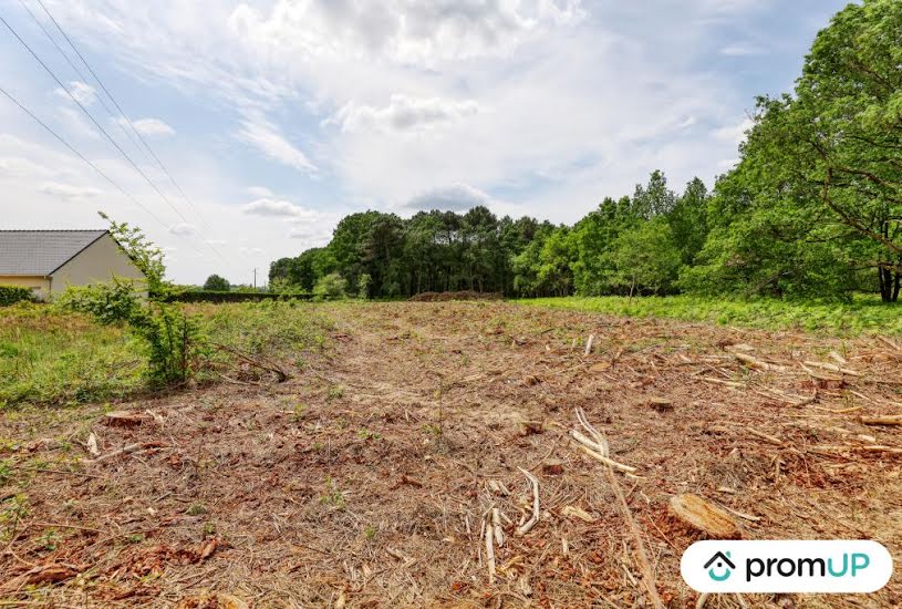  Vente Terrain à bâtir - à Saint-Philbert-du-Peuple (49160) 