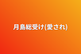 月島総受け(愛され)