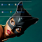 Item logo image for Catwoman 2.1.5