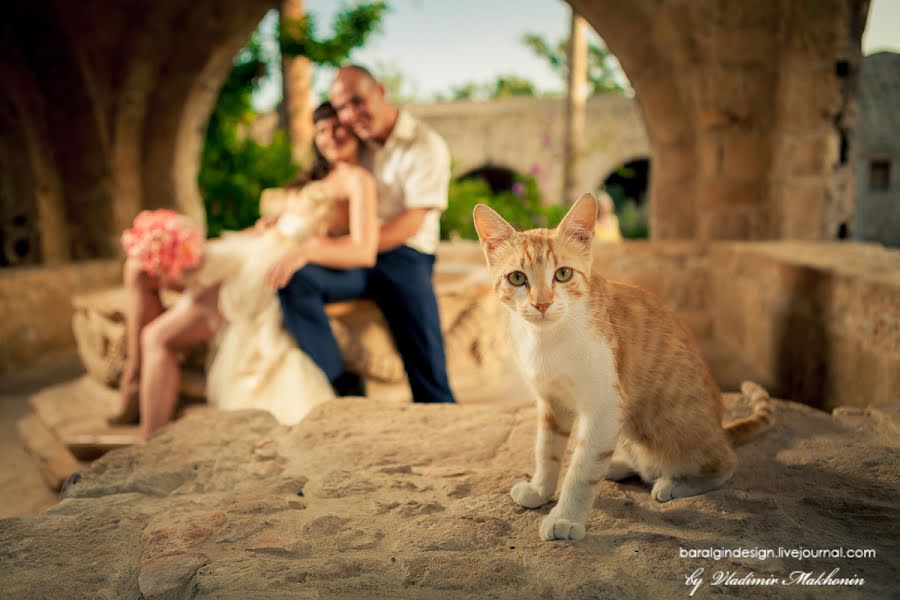 Wedding photographer Vladimir Makhonin (baralgindesign). Photo of 10 March 2015