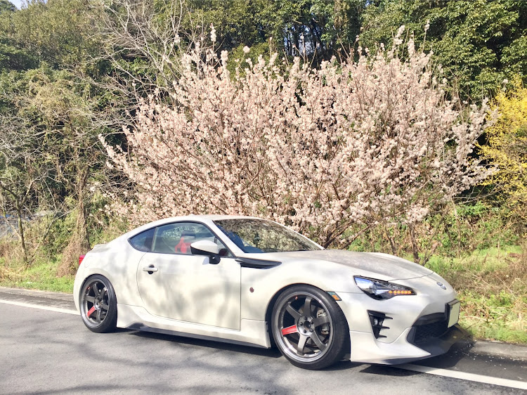 86のTE37SL・道の駅どなり・春の訪れに関するカスタム事例の投稿画像4枚目