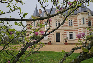 Château 15