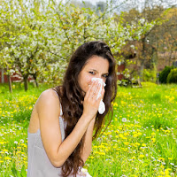 allergica alla primavera di 