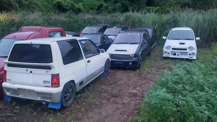 アルトワークスの上から愛車・多頭飼育・複数所有・草ヒロ・草むらヒーローに関するカスタム事例の投稿画像3枚目