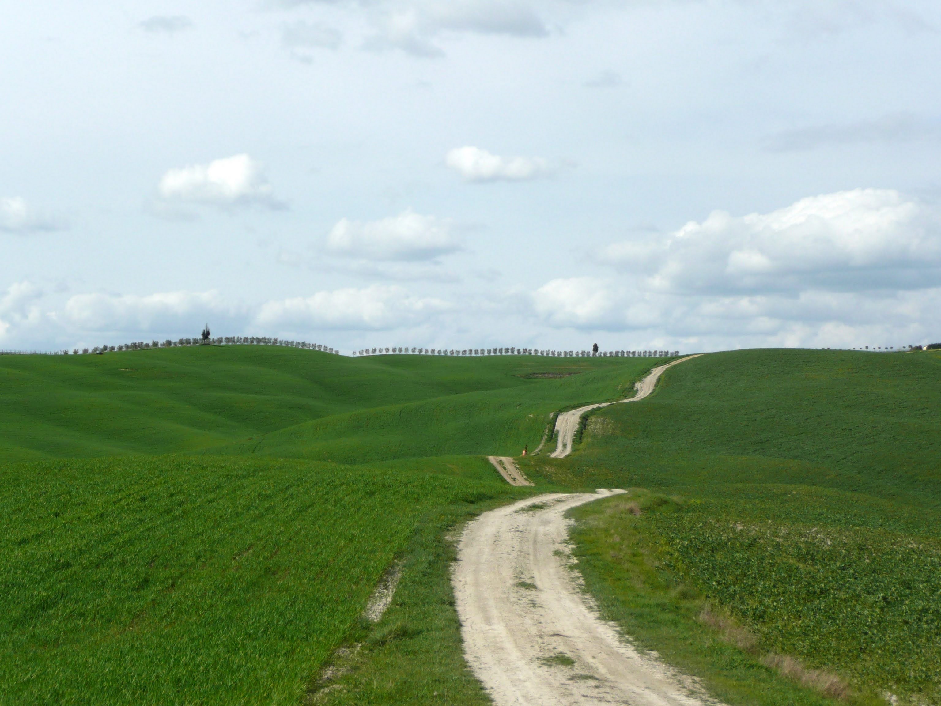 Val d'Orcia, vicinanze di San Quirico d'Orcia