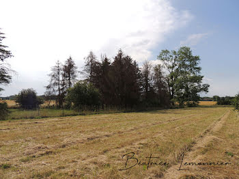 terrain à Vrigny (45)