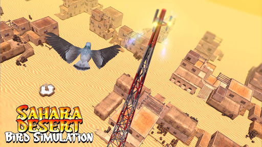 Sahara Desert Bird Simulation