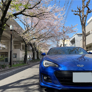 BRZ ZC6