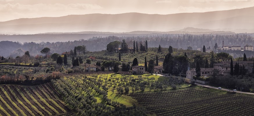 Verso San Gimignano di Donatella Maritan