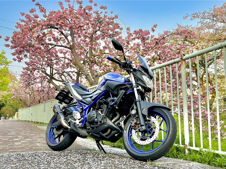 ニッシイさんが投稿したYAMAHA MT25・MT25・RG10J・堀川沿いの桜並木・八重桜に関するカスタム事例の投稿画像2枚目