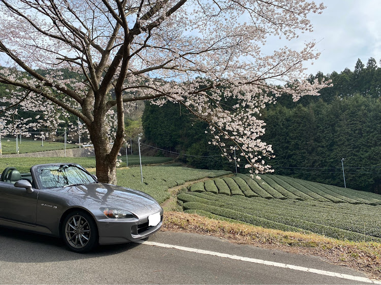 S2000の桜・花見・茶畑に関するカスタム事例の投稿画像1枚目