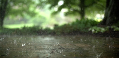 Real Rain Live Wallpaper Screenshot