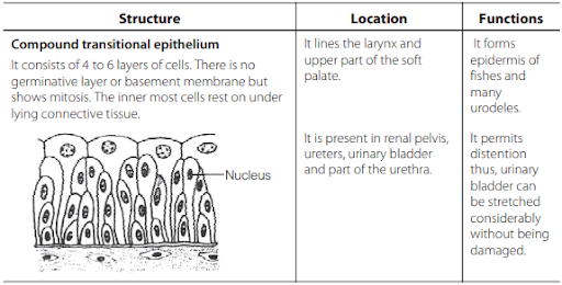 Solution Image