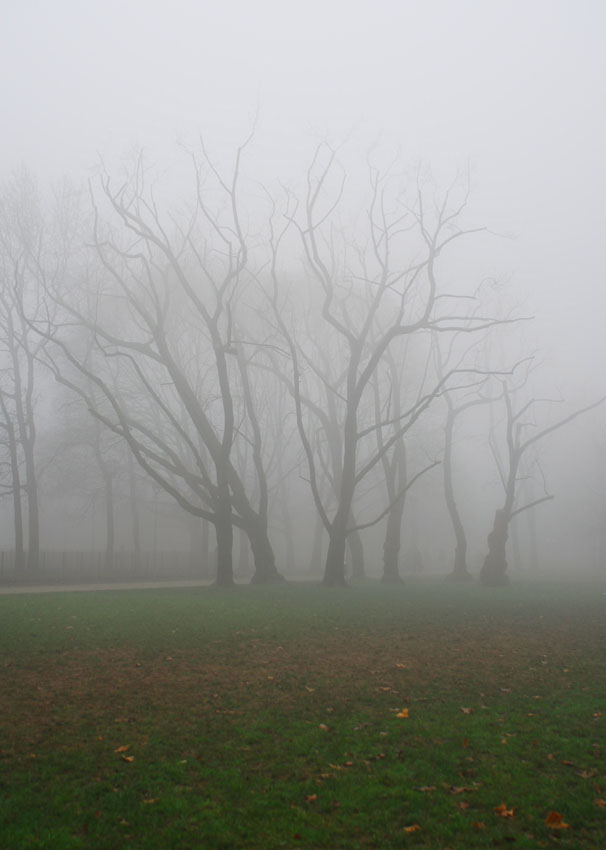 Avvolti dalla nebbia di netmailand