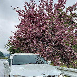 3シリーズ セダン 320i