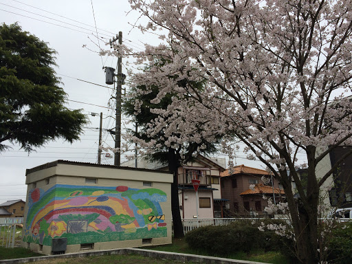 Rainbow Mural