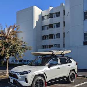 RAV4 AXAP54