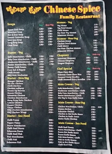 Chinese Spice Family Restaurant menu 