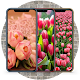 Download Pink Tulips Wallpaper Full HD For PC Windows and Mac 2.1