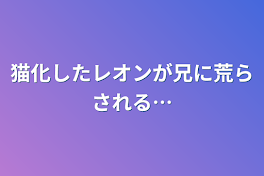 猫化したレオンが兄に荒らされる…