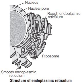 Solution Image