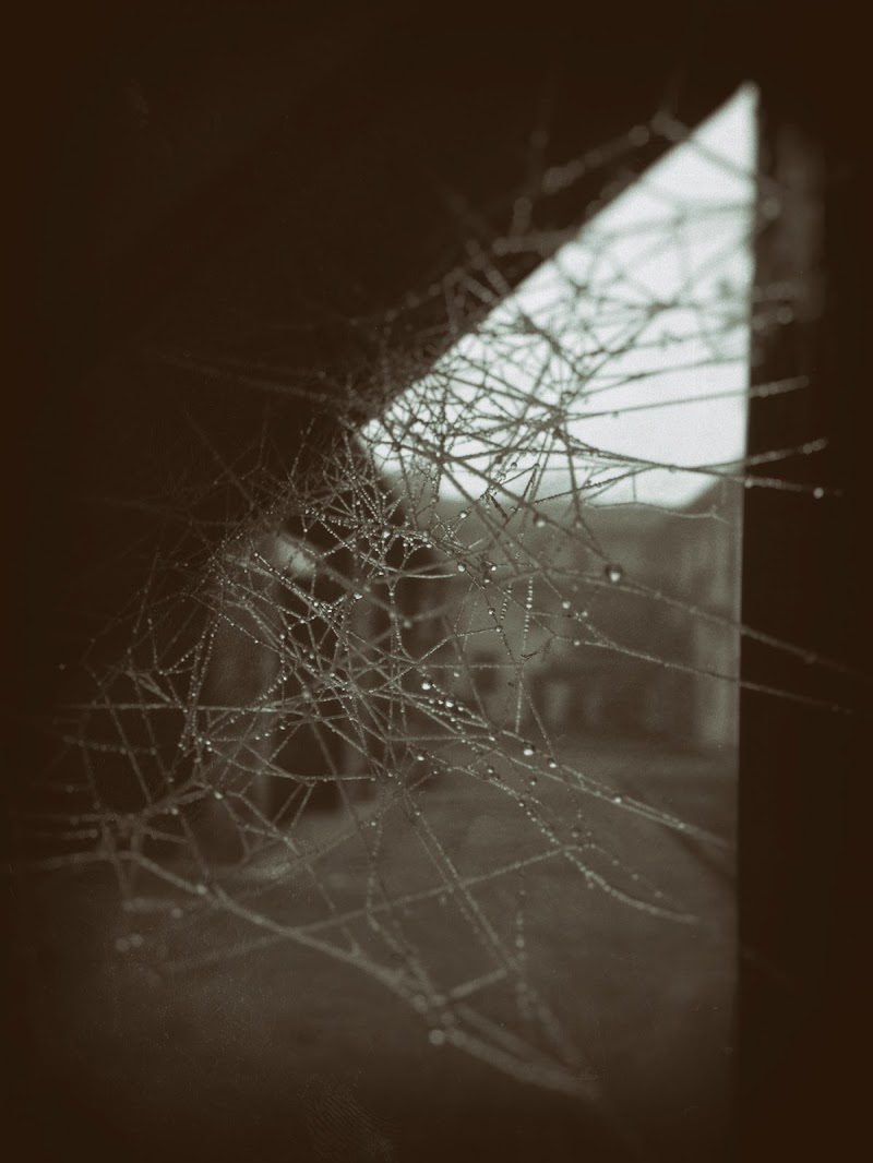 behind the web di gabaglio.marco