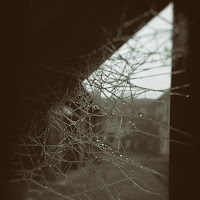 behind the web di 