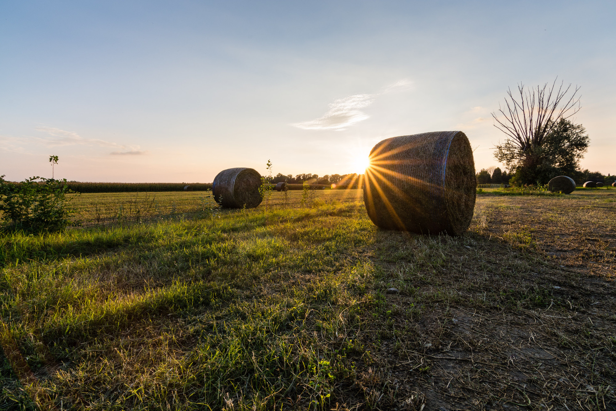 Rotoballe al tramonto di Andrea Incerti