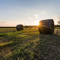 Rotoballe al tramonto di 